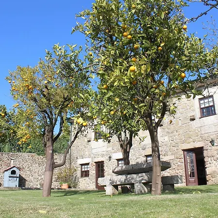 Quinta Do Sardao * Tregosa