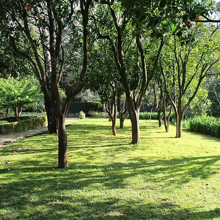 Quinta Do Sardao *