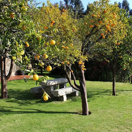 Guest house Quinta Do Sardao Tregosa